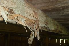 Drywood-Termite-Damage