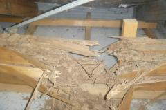 Roof-Truss-Damage-Schedorhinotermes