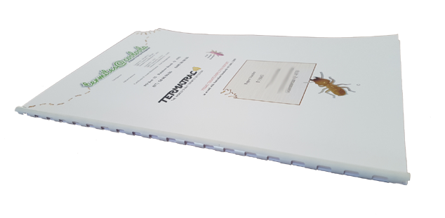 Termite Inspections – Termites@Cooloola & Beach to Bay Pest Management